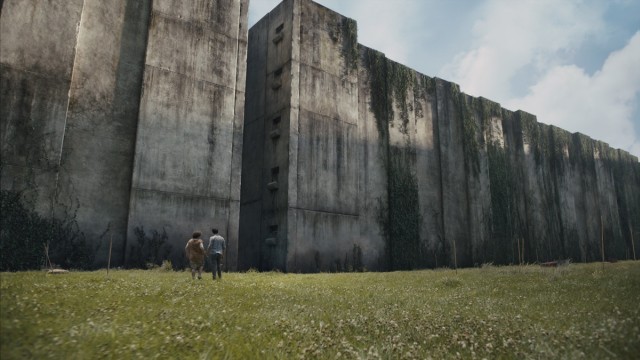 THE MAZE RUNNER