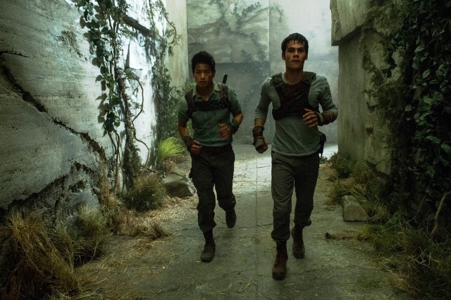 THE MAZE RUNNER