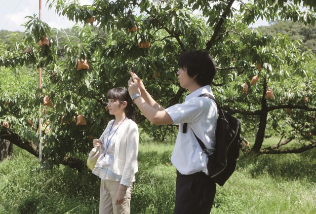 『種まく旅人～夢のつぎ木～』