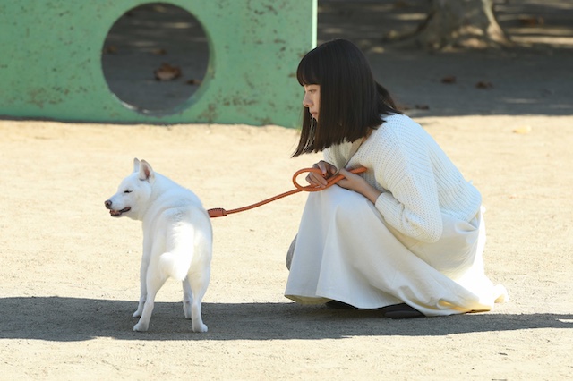 桜井ユキ（TVドラマ「柴公園」）